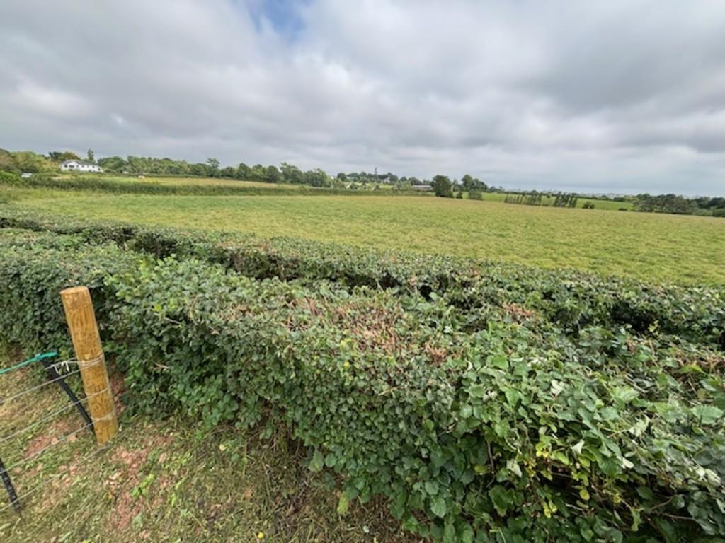 View to South East from Plot 1 southern boundary h