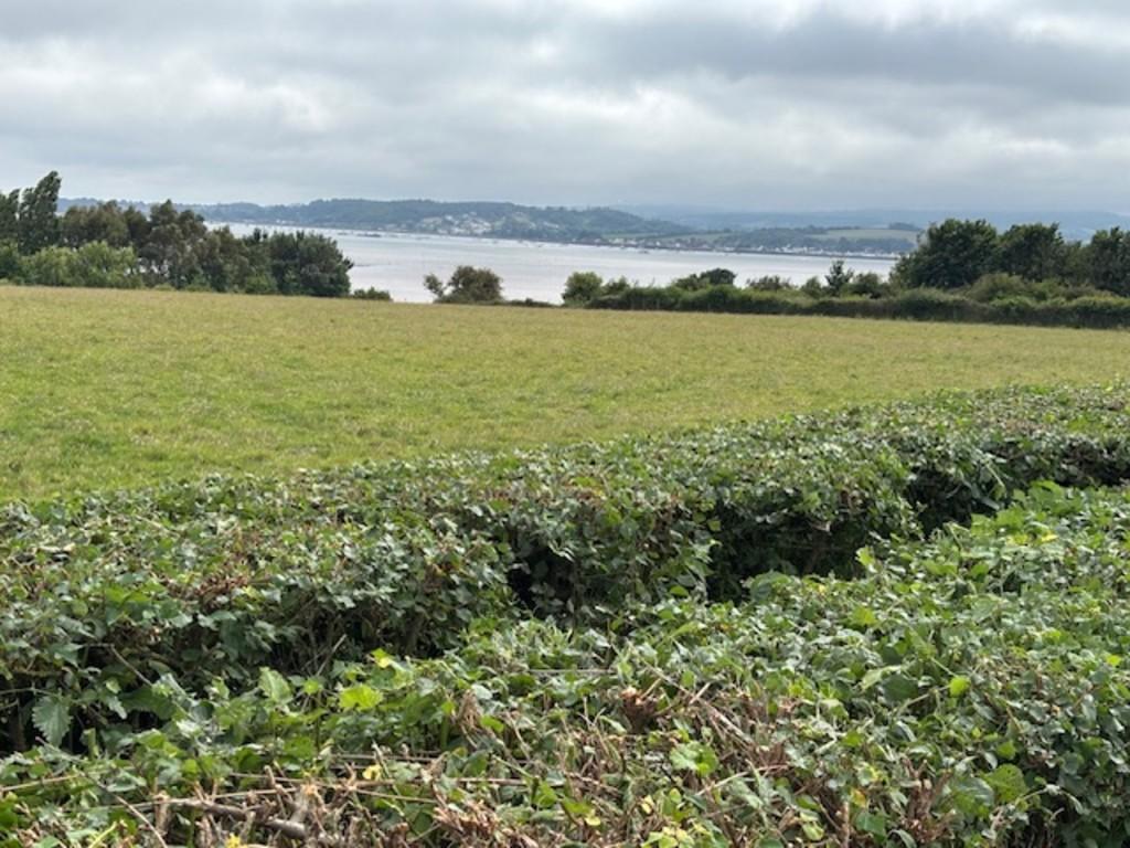 View at ground level from Plot 1 towards Estuary