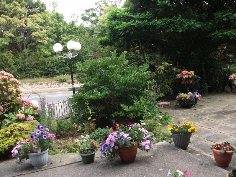 Photo 23