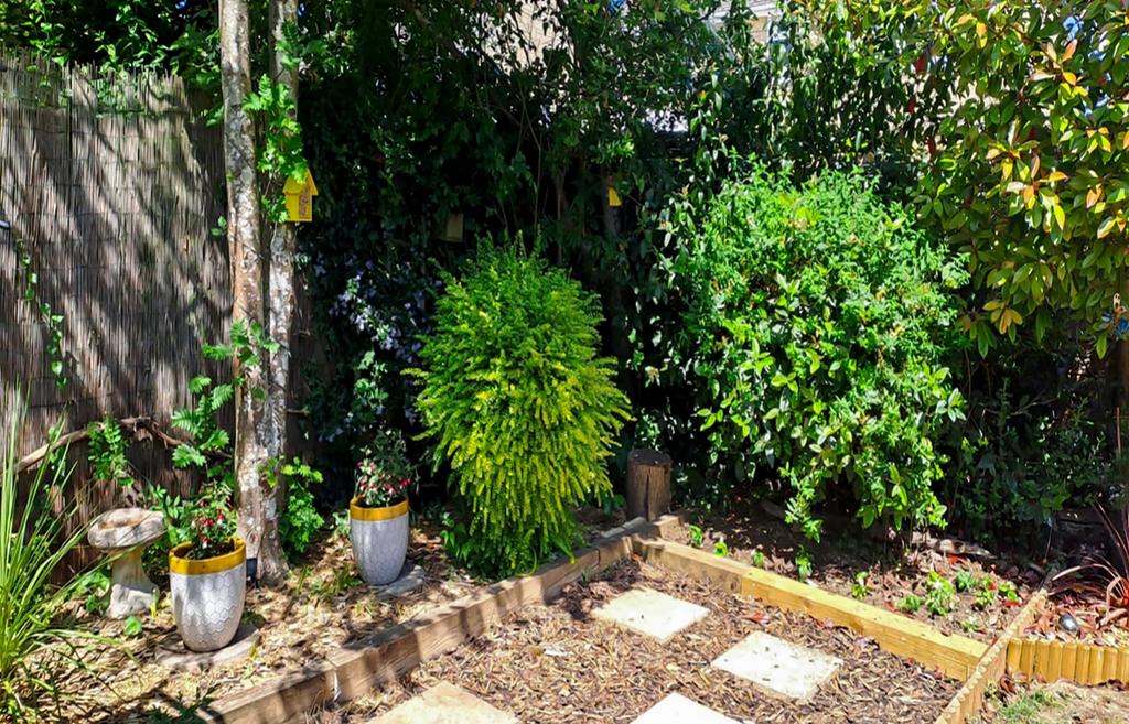 Back-Garden-1