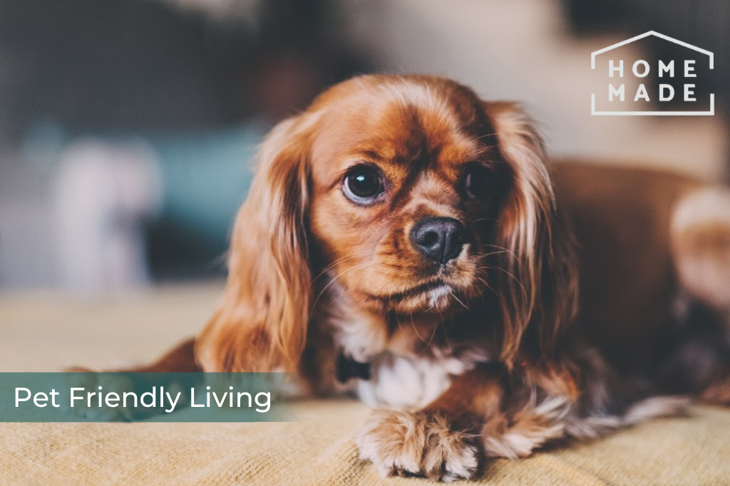 663492b1b6d99db4af273dea25fe