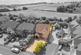 Bell Meadow Pedmore 4.jpg