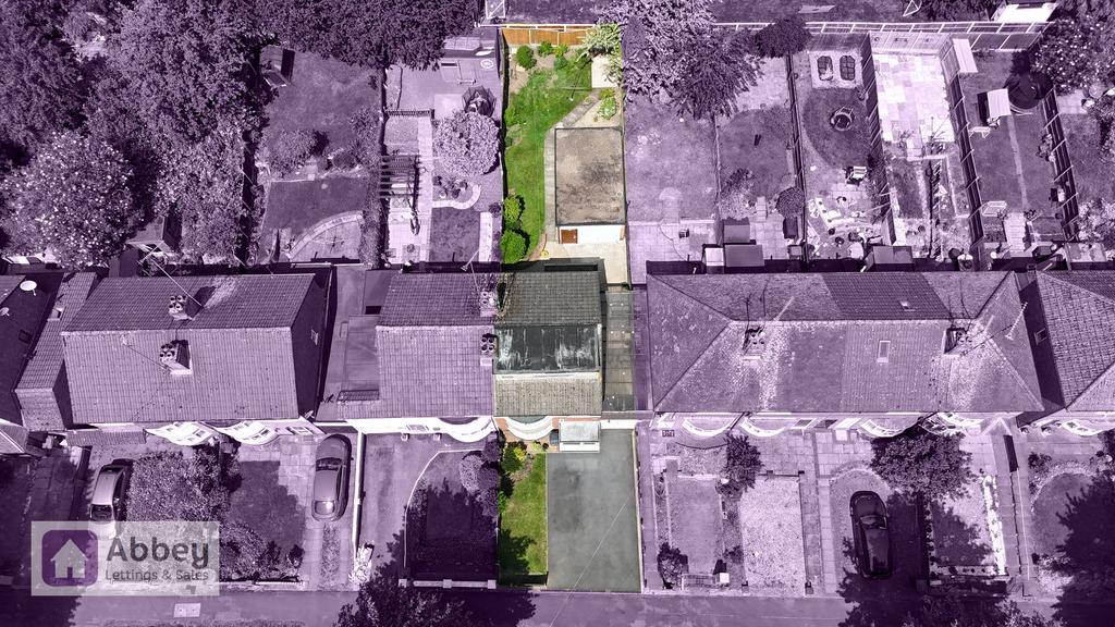 Plot View
