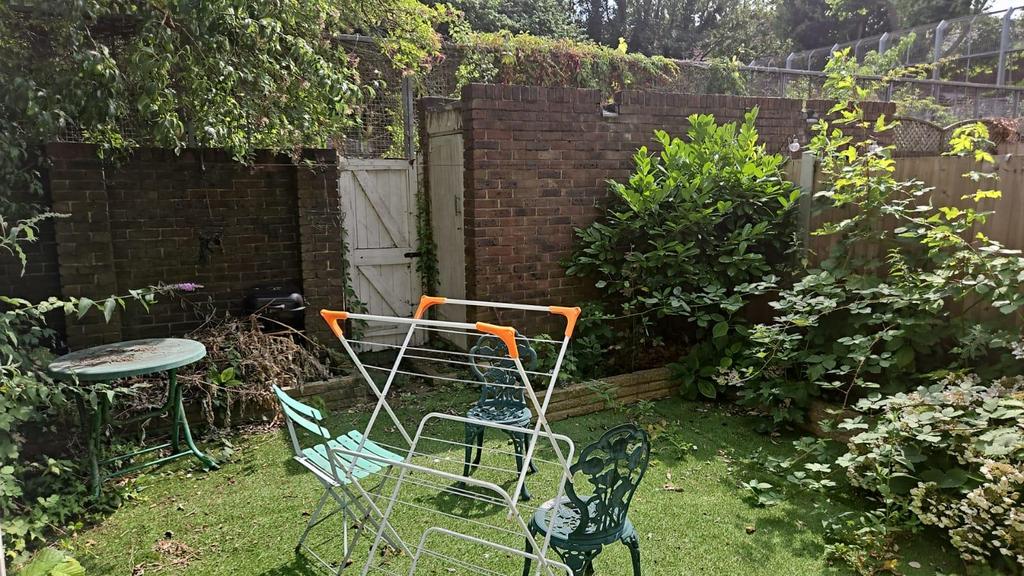 Whats App Image 2025-07-14 at 3.12.58 PM.jpeg