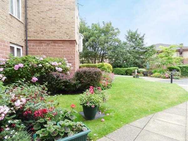 Communal Gardens