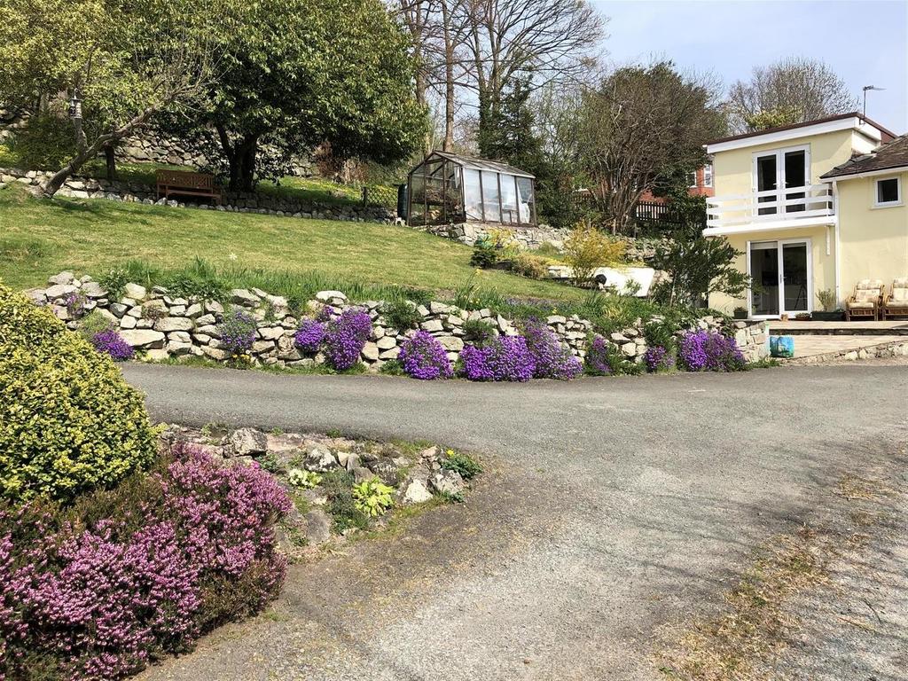 Flowers 2.jpg