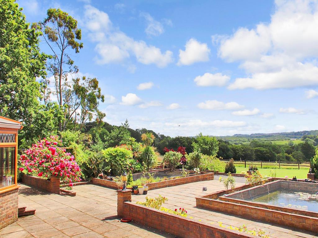 Terrace View