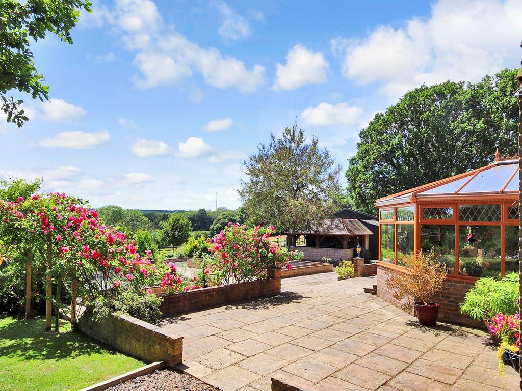 Terrace View