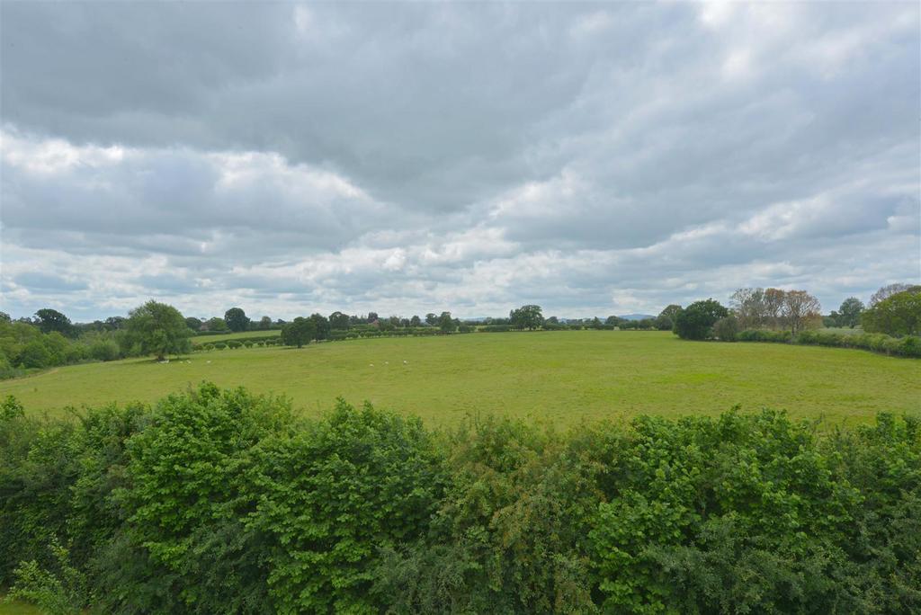 Dsc 3973.jpg