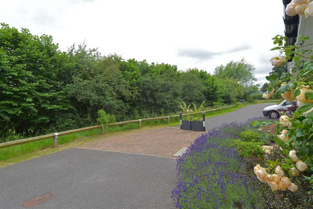 Dsc 3981.jpg