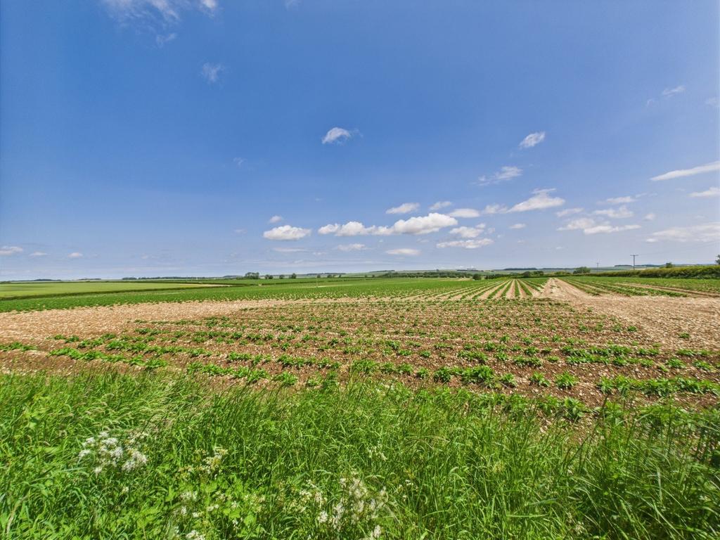 Countryside Views