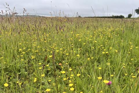 undefined, Appleford Lane, Appleford, Whitwell