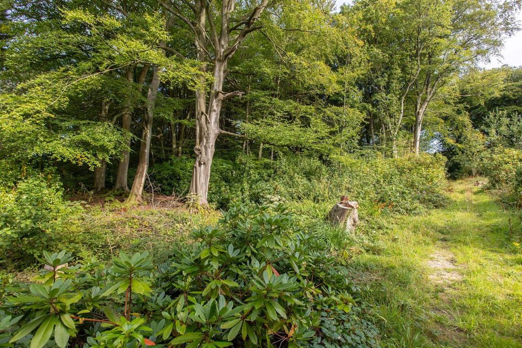 Woodland Walk