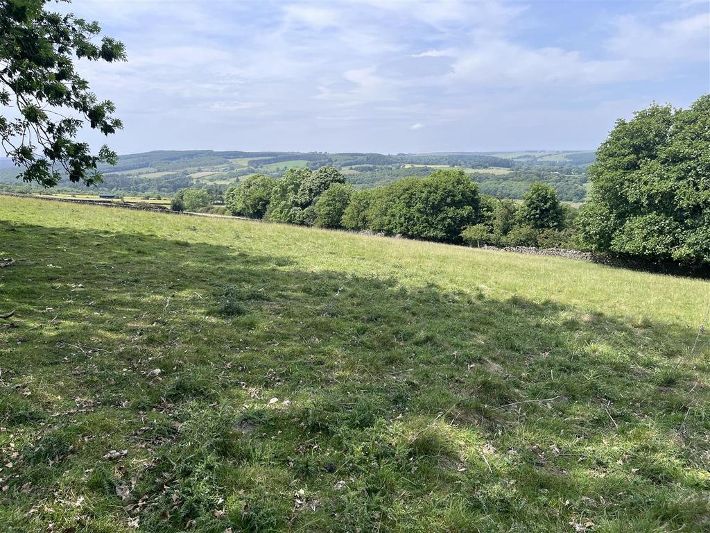 Img 8323.jpg
