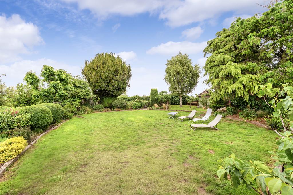 Garden 1