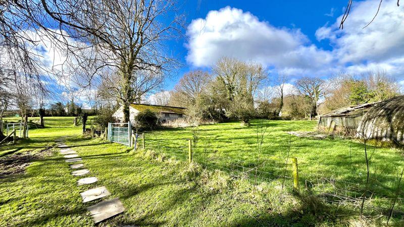 Smaller Paddock