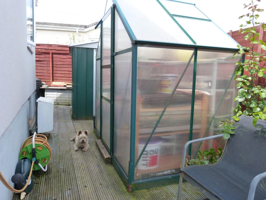 Rear Yard