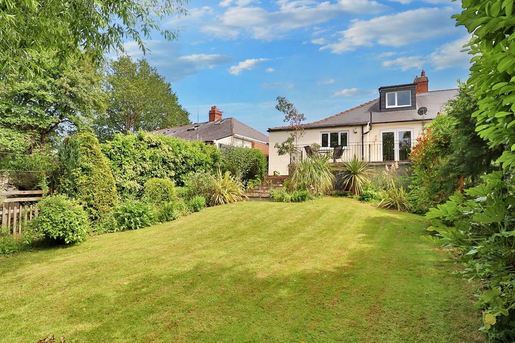 Rear Garden II