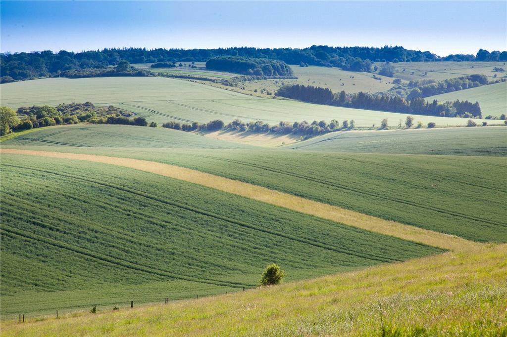 Land