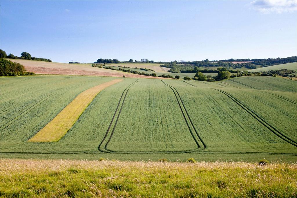 Land