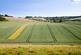 Additional image 12 of Whole - The Bapton Manor Estate, Bapton Manor, Bapton, Warminster, BA12