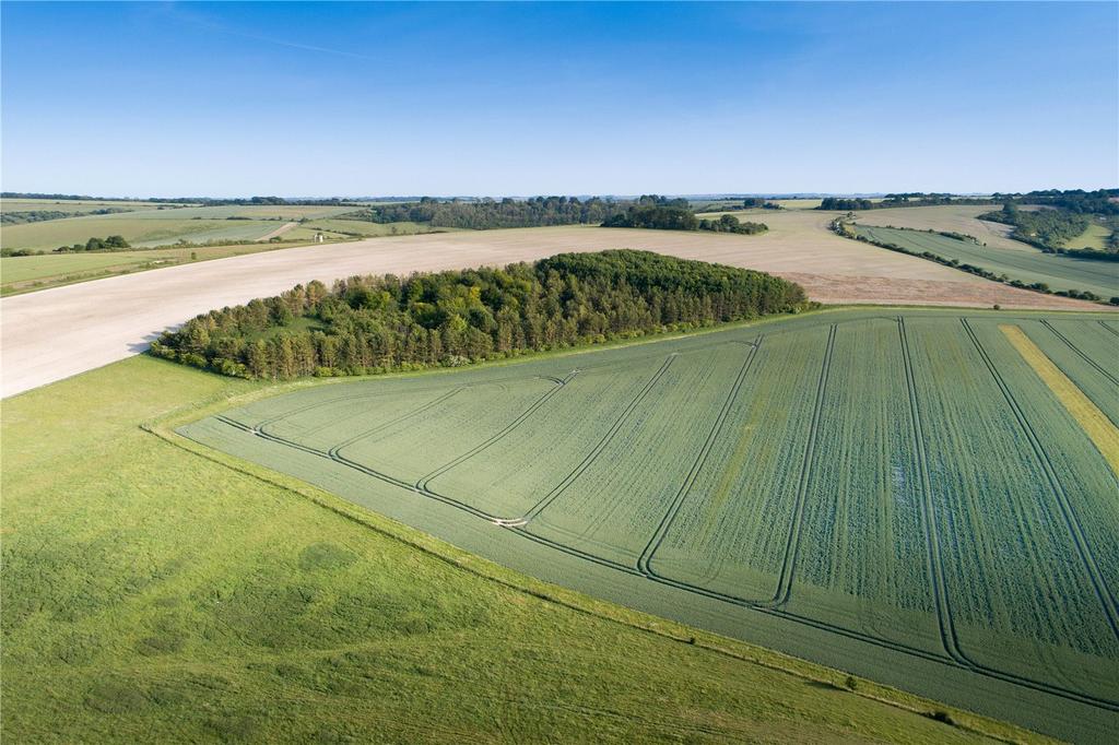 Land