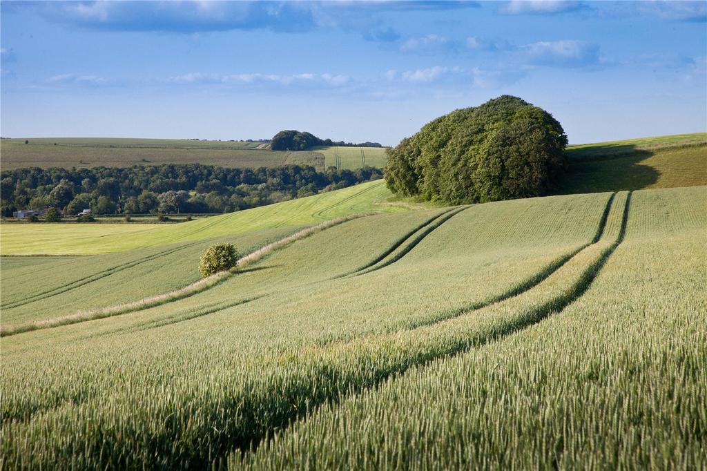 Land