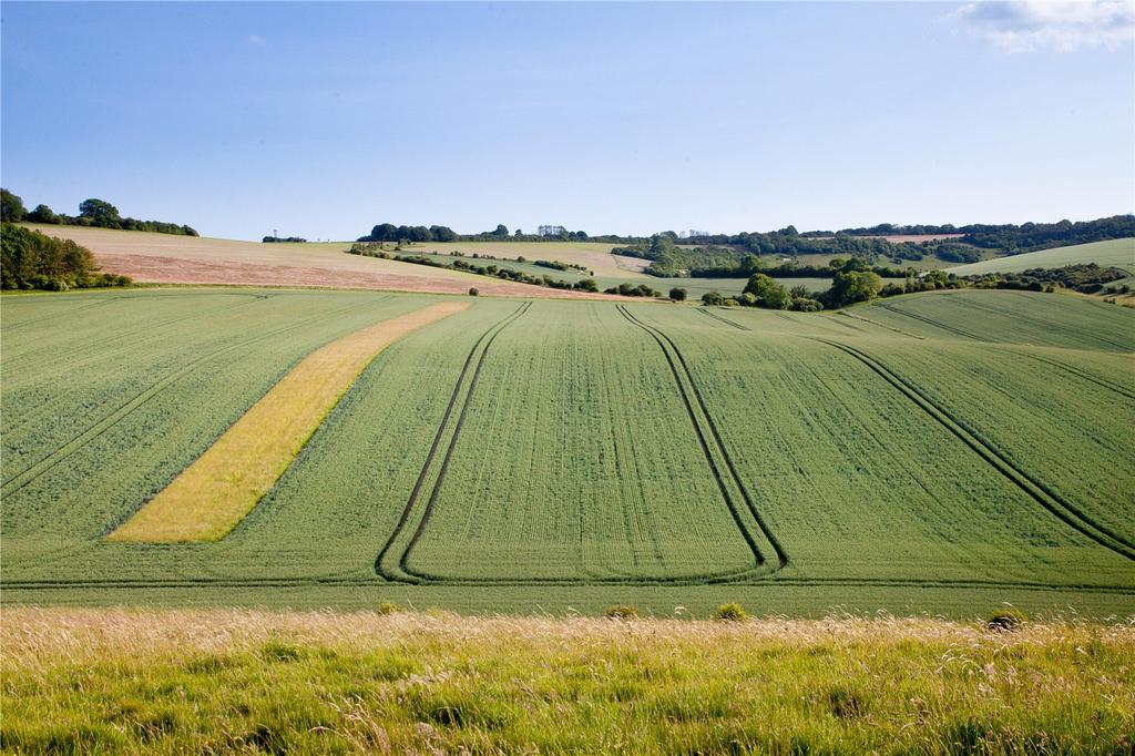 Land