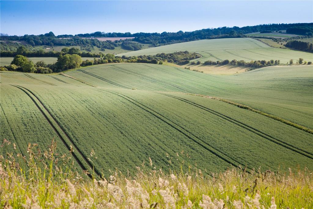 Land