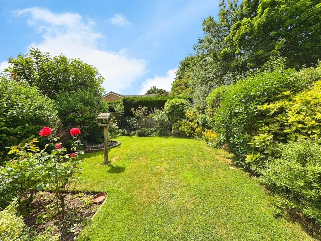 Garden.jpg