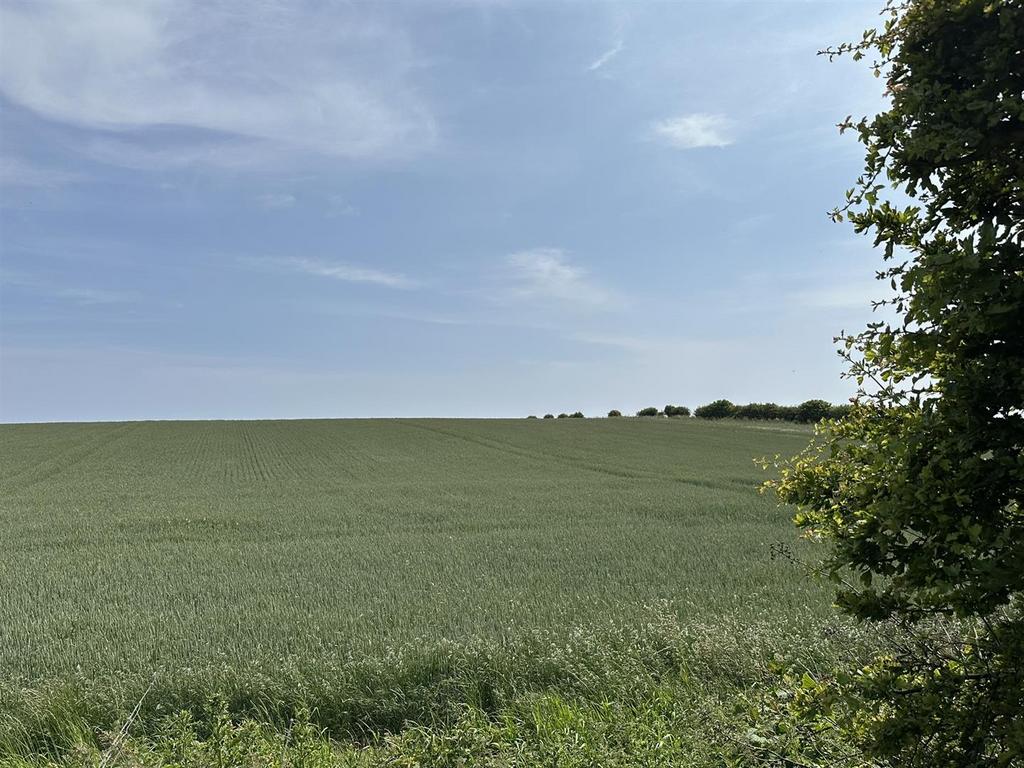 Outlook from garden