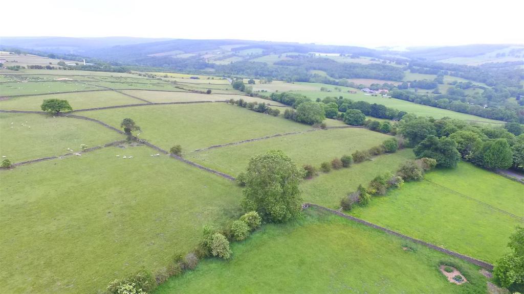 Dji 0187.jpg