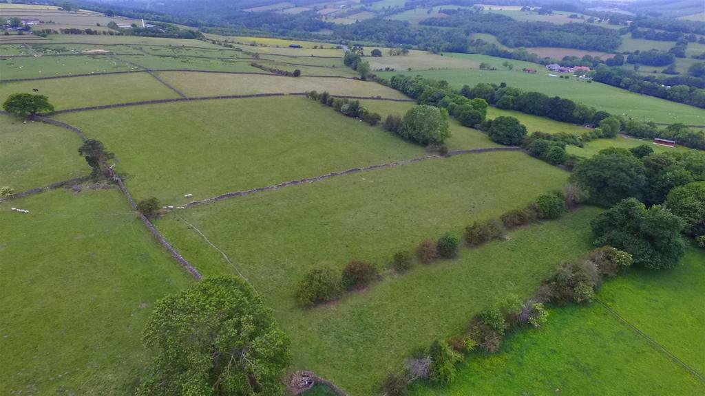 Dji 0185.jpg