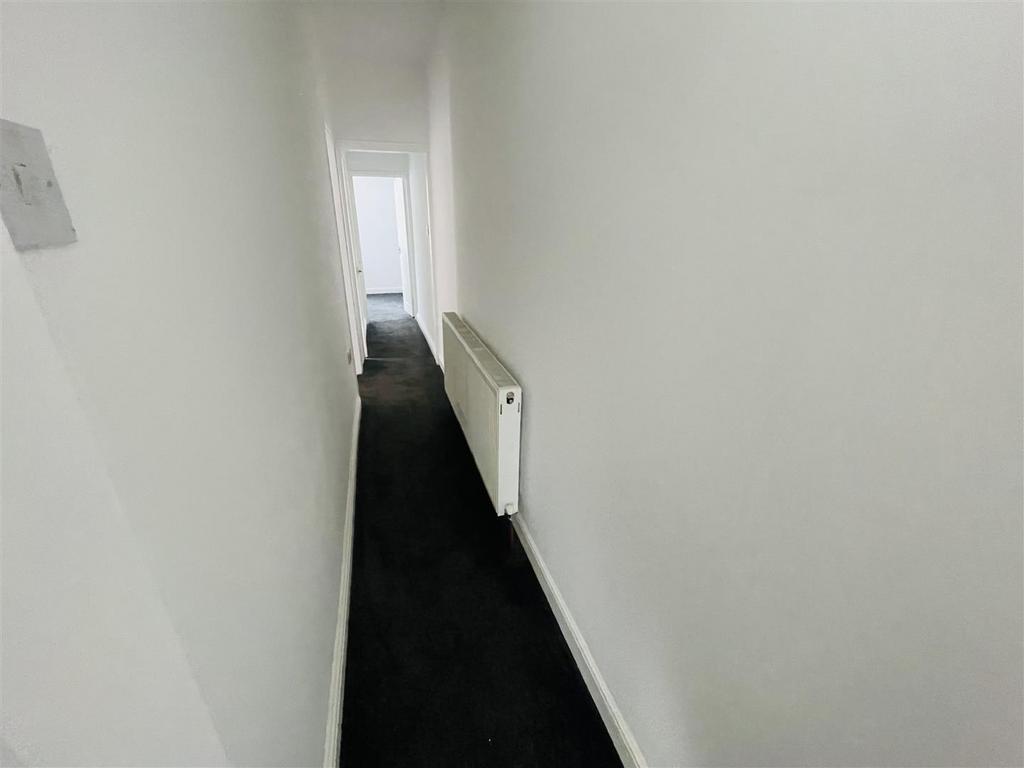 IMG 3342.jpeg