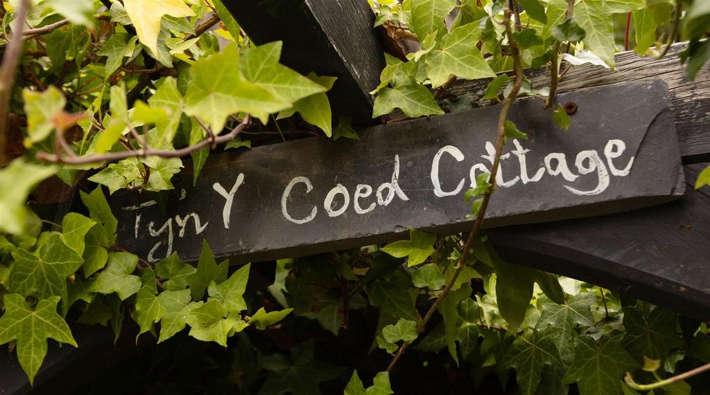 Tyn y coed 034.JPG