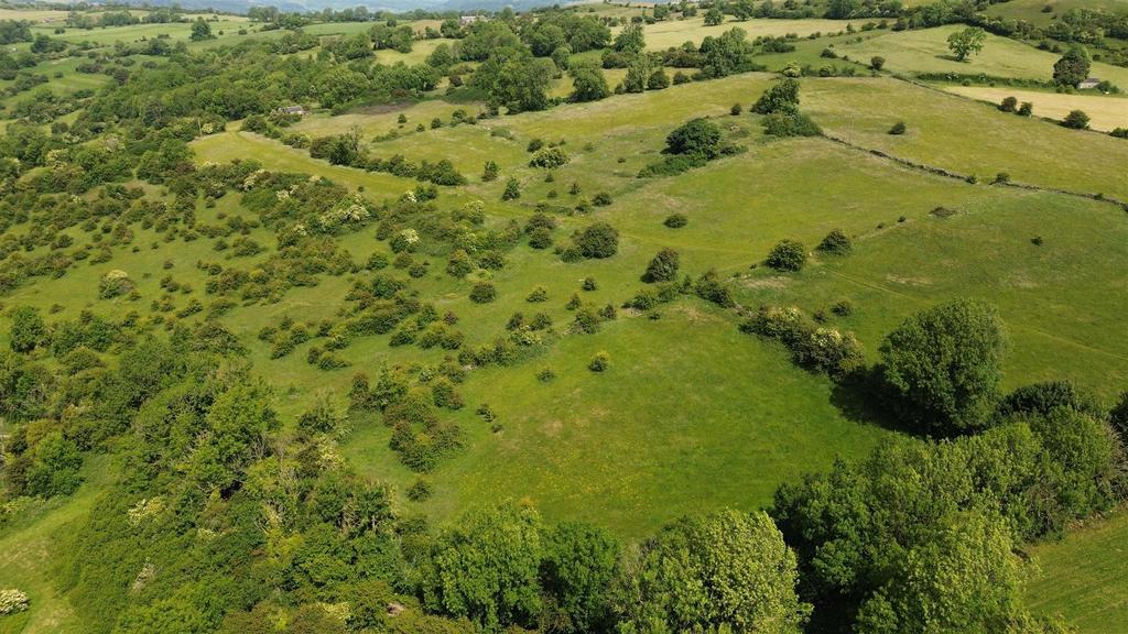 Dji 0942.jpg