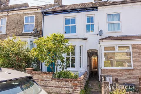 2 bedroom terraced house for sale - Caernarvon Road, Norwich NR2