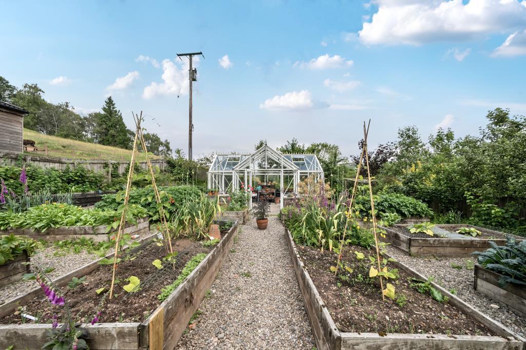 Kitchen garden