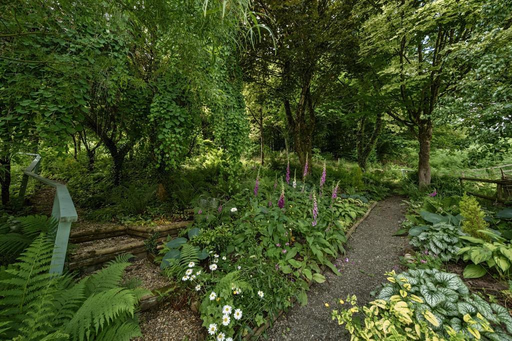 Woodland