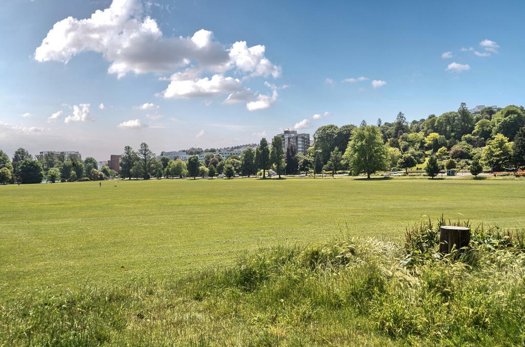 1309779-1-684ac3c...