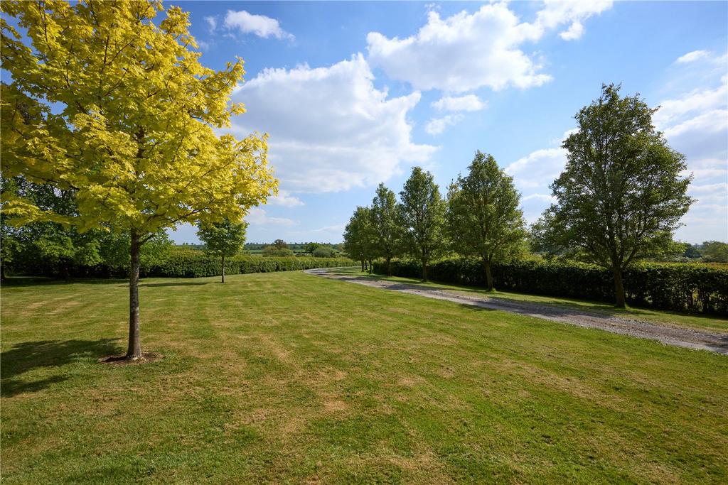 Main Drive