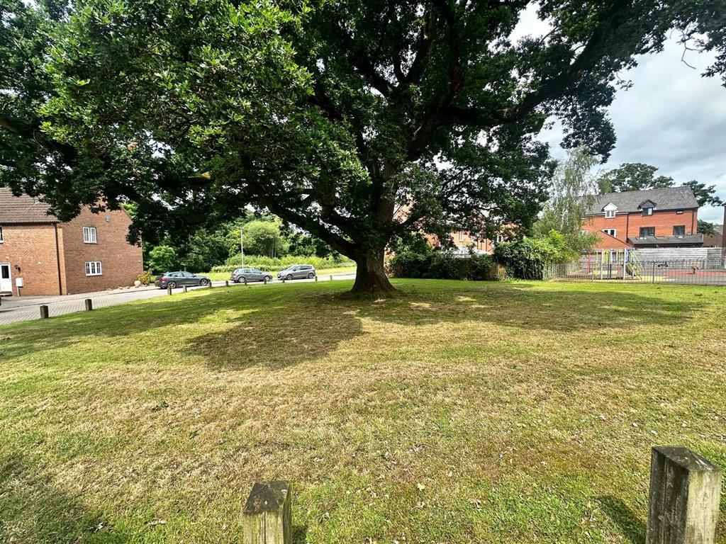 View to the front