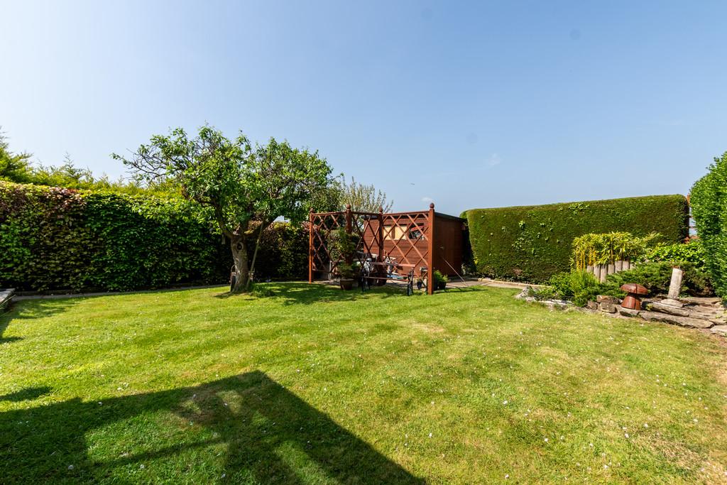 Garden 5