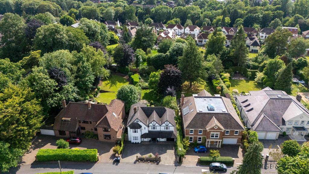 DJI 20250611162242 0003 D.jpg