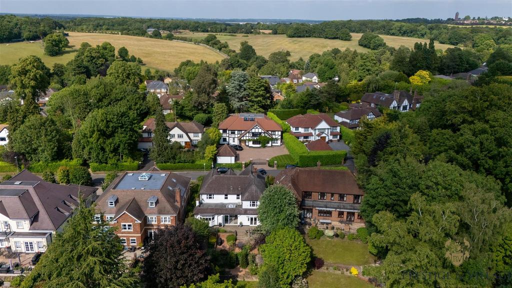 DJI 20250611162838 0013 D.jpg