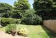 Garden.jpg