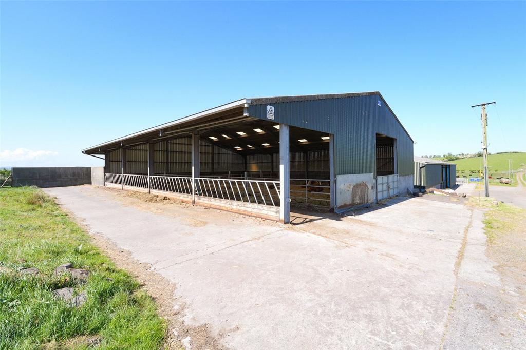 Cattle Shed