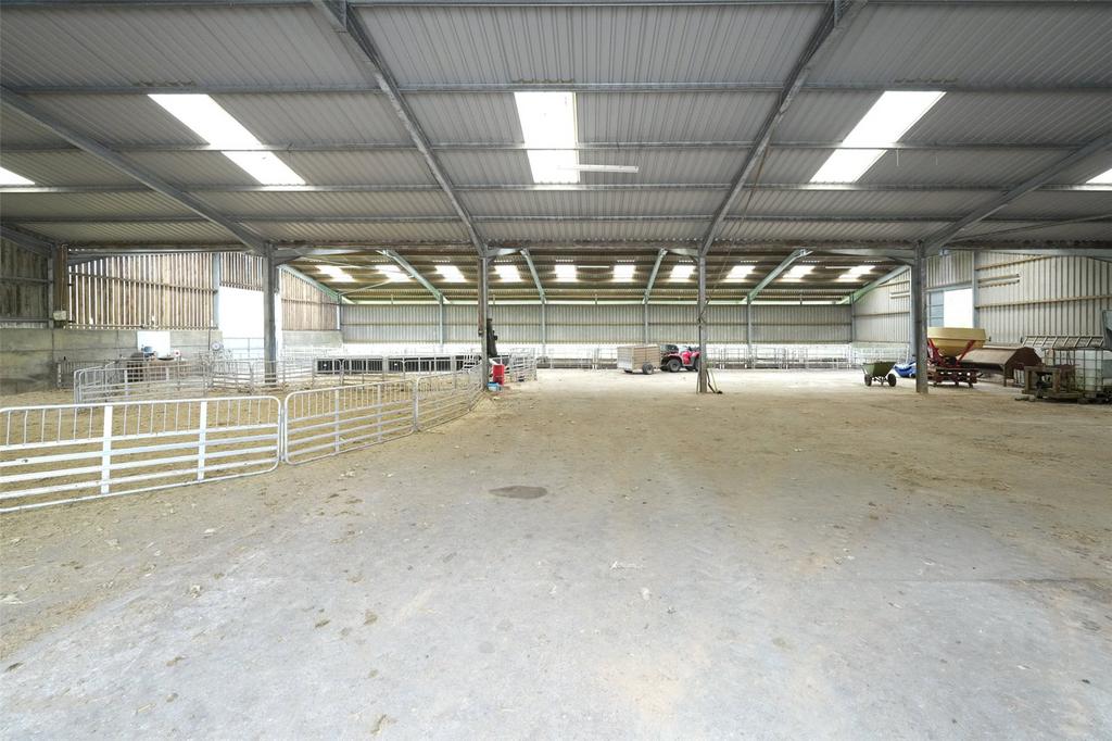 Lambing Shed