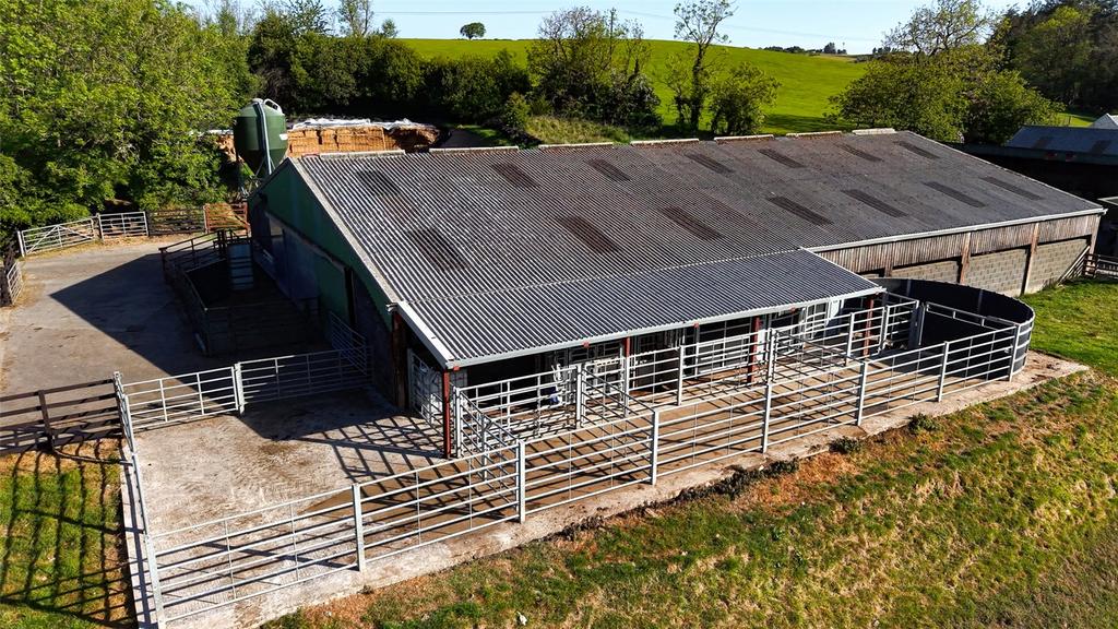 Slatted Cattle Shed
