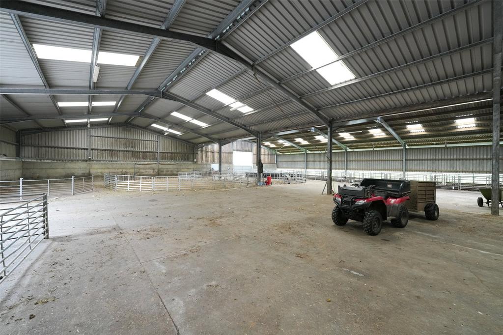 Lambing Shed
